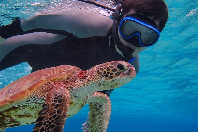Okinawa Miyako Beach SUP or Canoe and Sea Turtle Snorkeling - Key Points