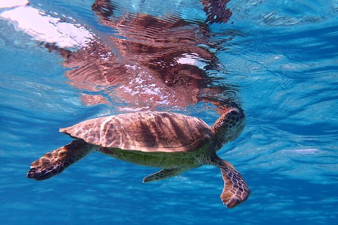 Okinawa Miyako Beach SUP or Canoe and Sea Turtle Snorkeling - Location and Meeting Point