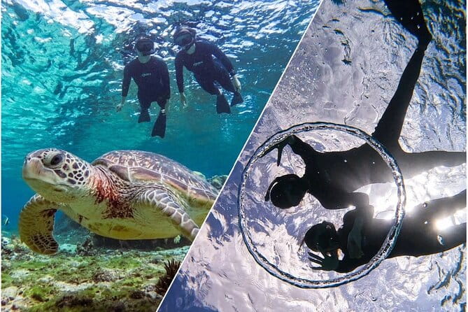 Okinawa Miyako Sea Turtle Snorkeling Free Pick up and Drop off - Key Points