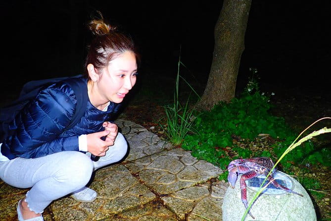 Okinawa Miyako Star Gazing and Subtropical Jungle Night Tour - Meeting and Logistics