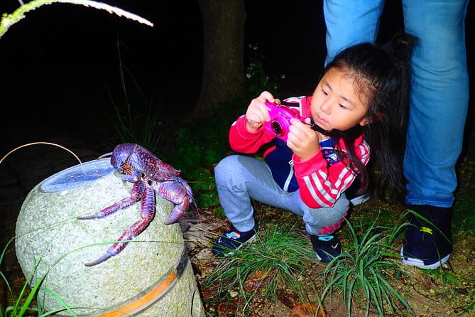 Okinawa Miyako Star Gazing and Subtropical Jungle Night Tour - Important Information