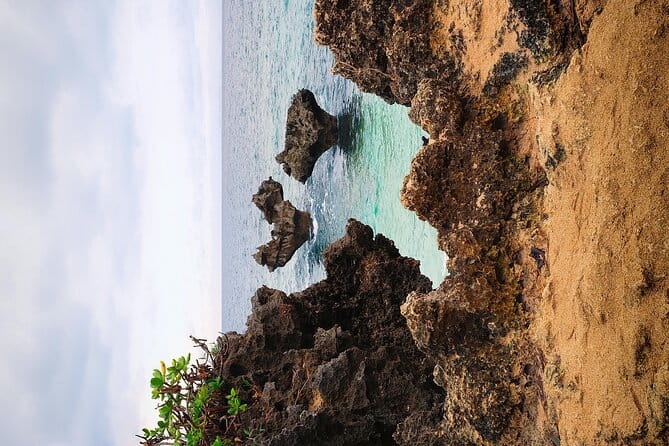 Okinawa Private Full Day Tour With Daily Chauffeur - Tour Accessibility