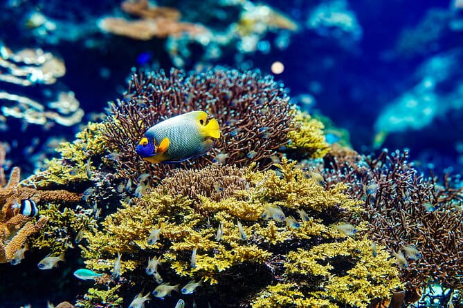 Okinawa Private Full Day Tour With Daily Chauffeur - The Sum Up