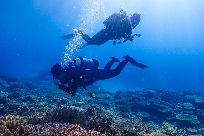 Okinawa Scuba Diving for Certified Divers (3 Boat Dives + Lunch) - Personalized Private Tour