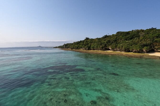 Okinawas Gorgeous Beach & Snorkel Tour: Private & Customised - Pickup and Transportation Details