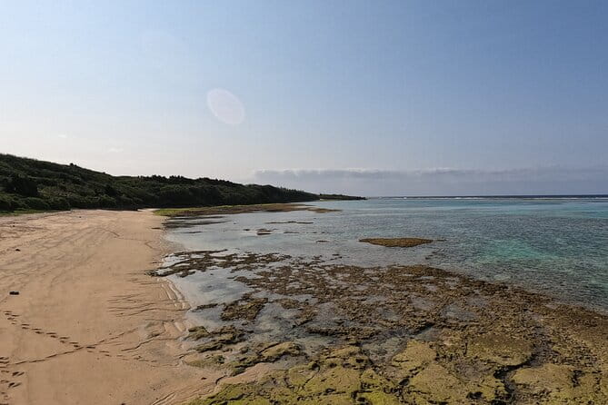 Okinawas Gorgeous Beach & Snorkel Tour: Private & Customised - Customer Feedback and Experiences