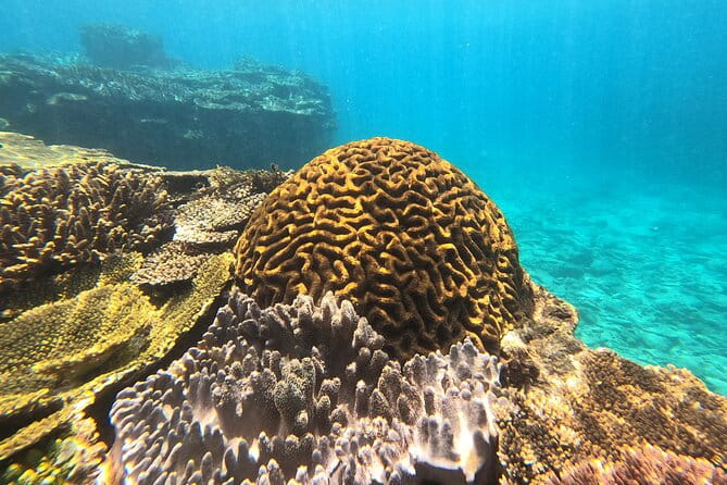Okinawas Gorgeous Beach & Snorkel Tour: Private & Customised - Snorkeling in the Crystal-Clear Waters