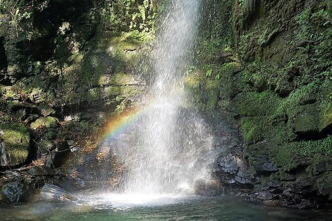 Oku-Iya Cab Plan 6 Hours Course / Tokushima, Shikoku - Inclusions and What to Expect