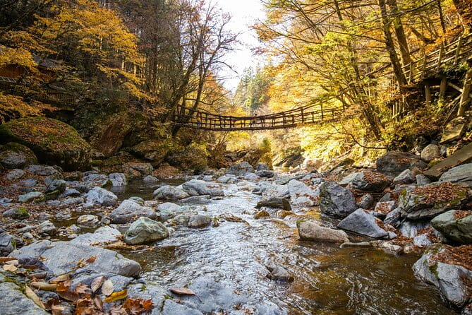 Oku-Iya Cab Plan 6 Hours Course / Tokushima, Shikoku - Pricing Information