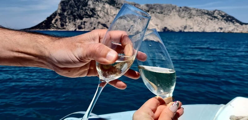 Olbia: Boat tour to watch Dolphins and snorkeling - The Route and Main Stops: See Dolphins, Swim, and Sip