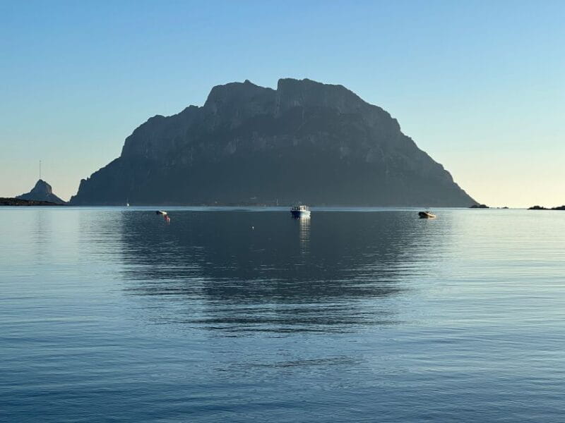 Olbia: Diving in Tavolara Marine Park in Sardinia - Who Should Consider This Experience?