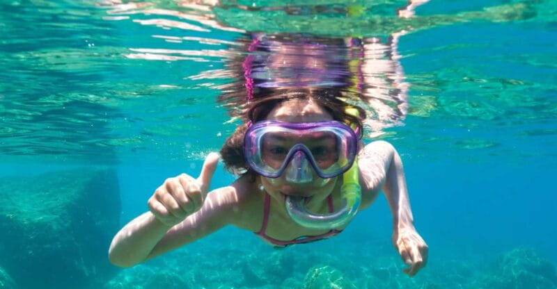 Olbia: Dolphin Watching and Snorkeling Boat Tour - Final Thoughts: Is It Worth It?