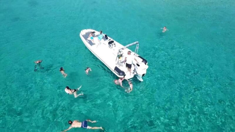 Olbia: Dolphin Watching & Snorkeling Boat Tour near Figarolo - Who Will Love This Experience