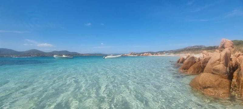 Olbia: Dolphin Watching & Swim with prosecco aperitif - Who Will Enjoy This Tour Most?