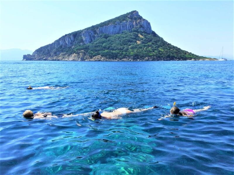 Olbia: Dolphin Watching Tour with Figarolo Island Snorkeling - Final Thoughts: Is It Worth It?