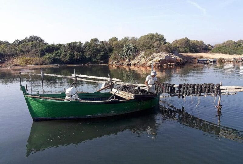 Olbia: Gulf of Olbia boat tour - The Sum Up: Who Should Consider This Experience