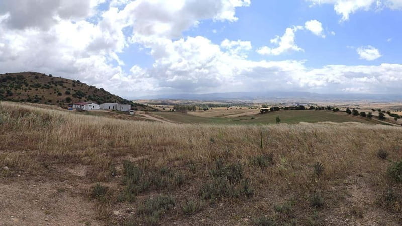 Olbia: jam tasting in Tula - FAQ