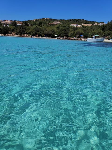 Olbia: Private excursion and snorkeling to the islands of Tavolara and Molara - What to Expect: The "Color Tour"