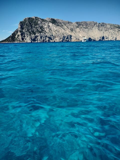 Olbia: Private excursion and snorkeling to the islands of Tavolara and Molara - The Experience: Snorkeling and Scenic Views