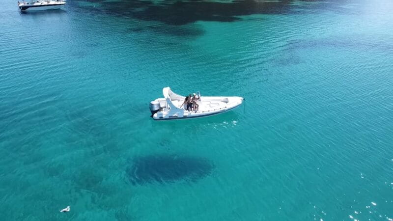 Olbia: Sunset and dolphin watching - Final Thoughts