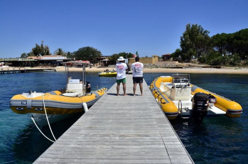 Olbia: Tavolara and Molara Snorkeling Boat Tour - Molara’s Natural Pools: Fish and Sun