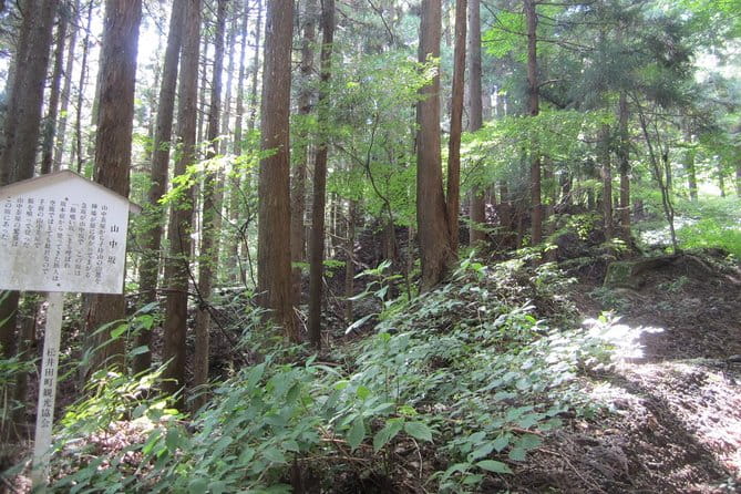 Old Nakasendo Trekking From Karuizawa-Beyond Sugahi Pass to Sakamoto Hotel- - Group Size and Inclusions