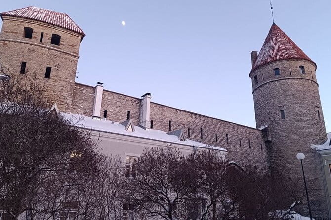Old Tallinn & its Medieval Past Private tour - Who This Tour Is Best For