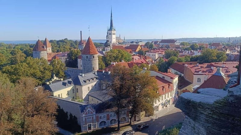 Old Tallinn & Medieval daily life Private Tour - What Makes This Tour Stand Out?