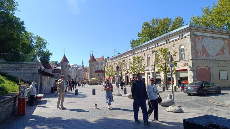 Old Tallinn & Medieval daily life Private Tour - Final Thoughts: An Authentic Glimpse into Medieval Tallinn