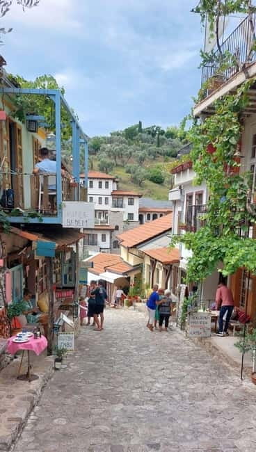 Old Town Bar, Old Olive Tree and the region of olive groves - Key Points / Takeaways