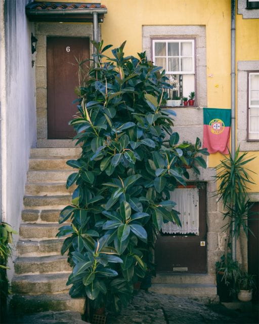 Old Town Porto - Walking Tour - Frequently Asked Questions