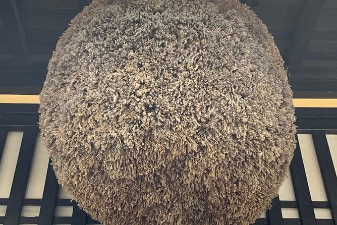 Old Township History&Culture Tour With Local Guide. (About 20MIN) - Cancellation and Reviews