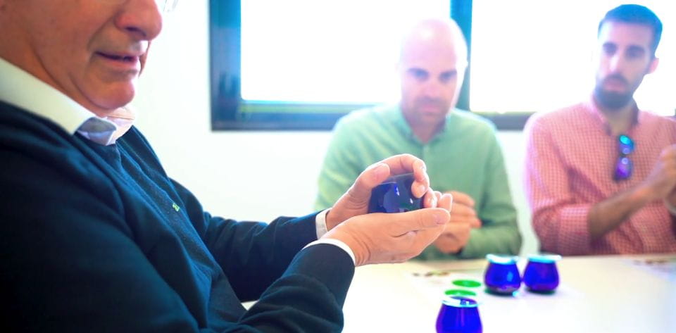 Oleoalmanzora: Guided Tour + Masterclass of EVOO Tasting Eng - Masterclass Details