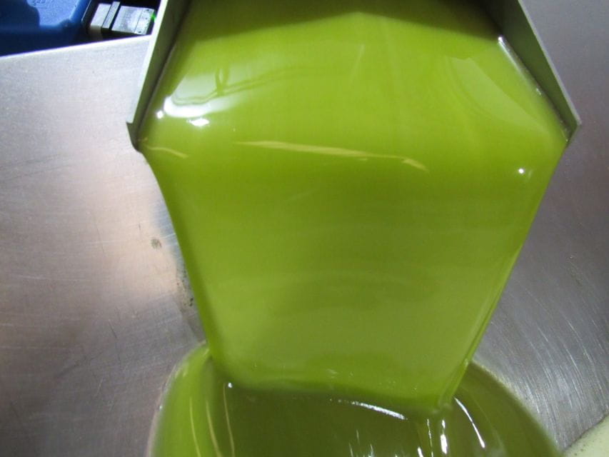 Oleoalmanzora: Guided Tour & Tasting + Pulpí Geode (6-Hours) - Main Attractions