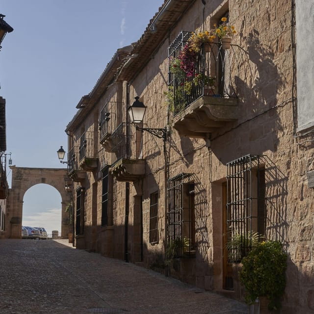 Oleotourism and Monumental Cities - Exploring Andalusia’s Olive Roots and Historic Charm