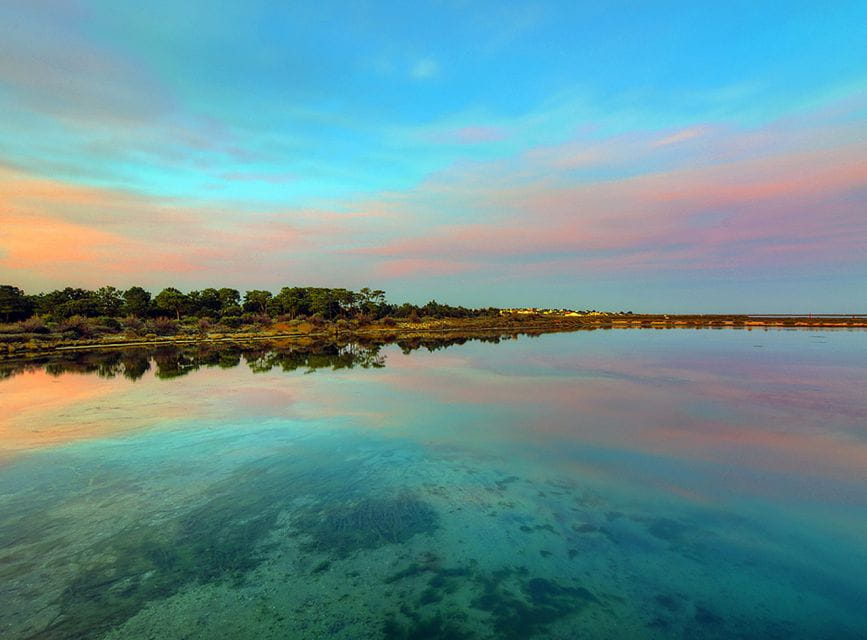 Olhão: 3-Hour Ria Formosa Boat Tour - Pricing and Duration