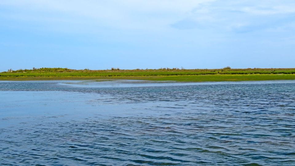 Olhão: 3-Hour Ria Formosa Boat Tour - Customer Feedback and Ratings