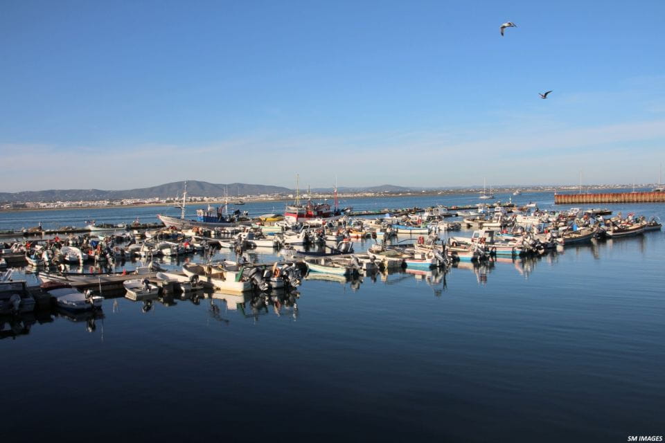 Olhão: 3 Islands Guided Sightseeing Tour With Lunch - Boat Features