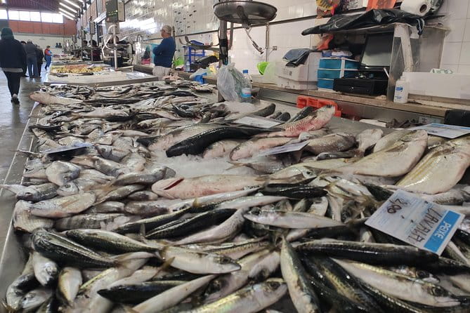 Olhao Authentic Tour: Market and Ria Formosa Natural Park - Key Points / Takeaways