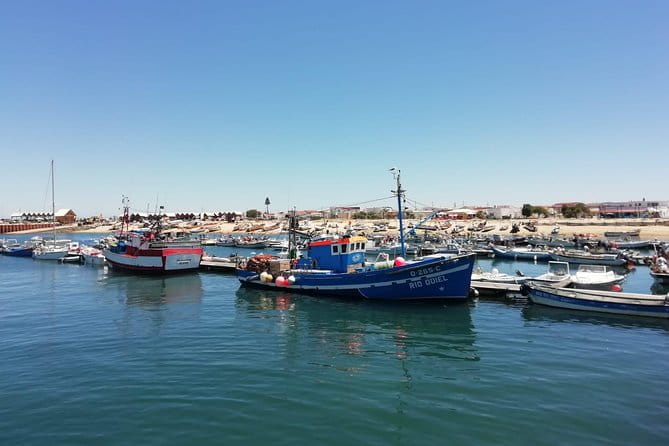 Olhao Authentic Tour: Market and Ria Formosa Natural Park - Final Thoughts