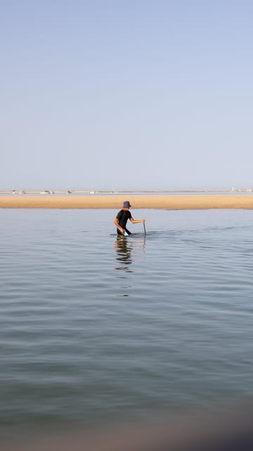 Olhão: Ria Formosa Boat Tour with Oyster Tasting - Practical Details and Tips for a Great Trip
