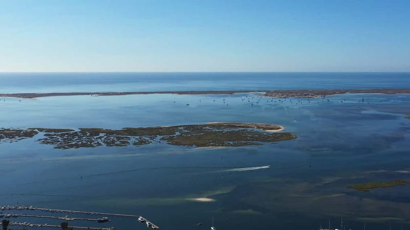 Olhão: Ria Formosa National Park Boat Cruise - Practical Tips for Your Trip