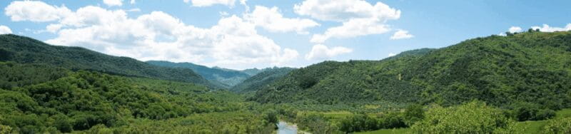 Olive grove tour with tasting - Matera - Key Points and Takeaways