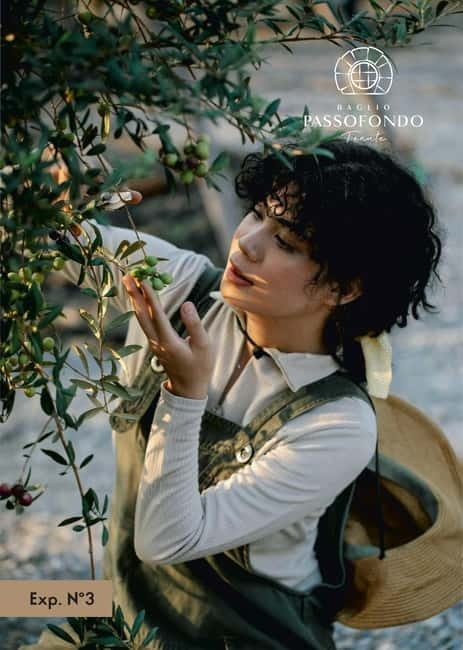 Olive grove walk and Tasting - Who Should Consider This Experience?