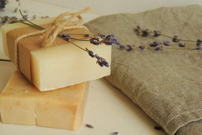 Olive harvest, visit to the oil mill and typical lunch - Key points / Takeaways