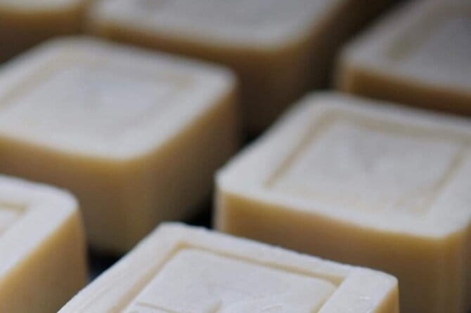 Olive harvest, visit to the oil mill and typical lunch - Discovering Sicily’s Olive Heritage: An In-Depth Look