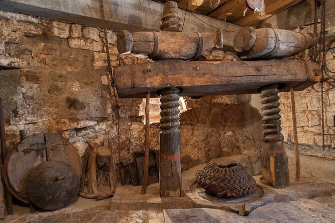 Olive oil farm to fork experience & short walking tour of Kotor - Entering the Heart of Montenegro’s Olive Heritage