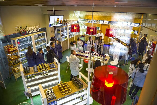 Olive Oil Mill Visit with Extra-Virgin Olive Oil Tasting in Jaén - Final Thoughts