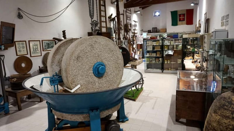 Olive Oil Museum: Extravirgin school - Food & wine tasting - Who Will Love This Tour?