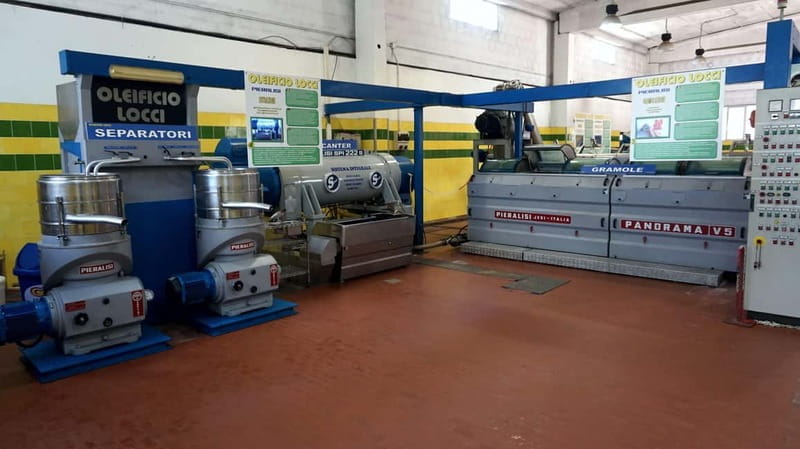 Olive Oil Museum: Extravirgin school - Food & wine tasting - The Sum Up